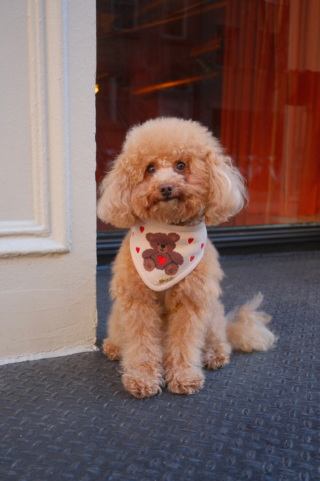 SWEETHEART TEDDY BANDANA