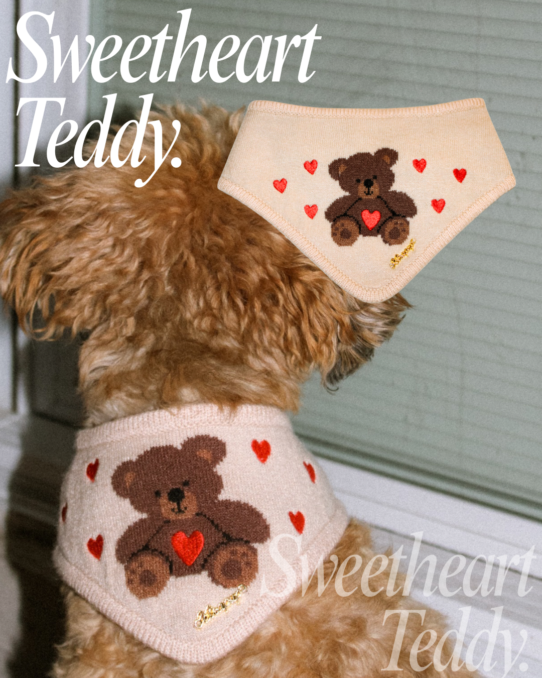 SWEETHEART TEDDY BANDANA
