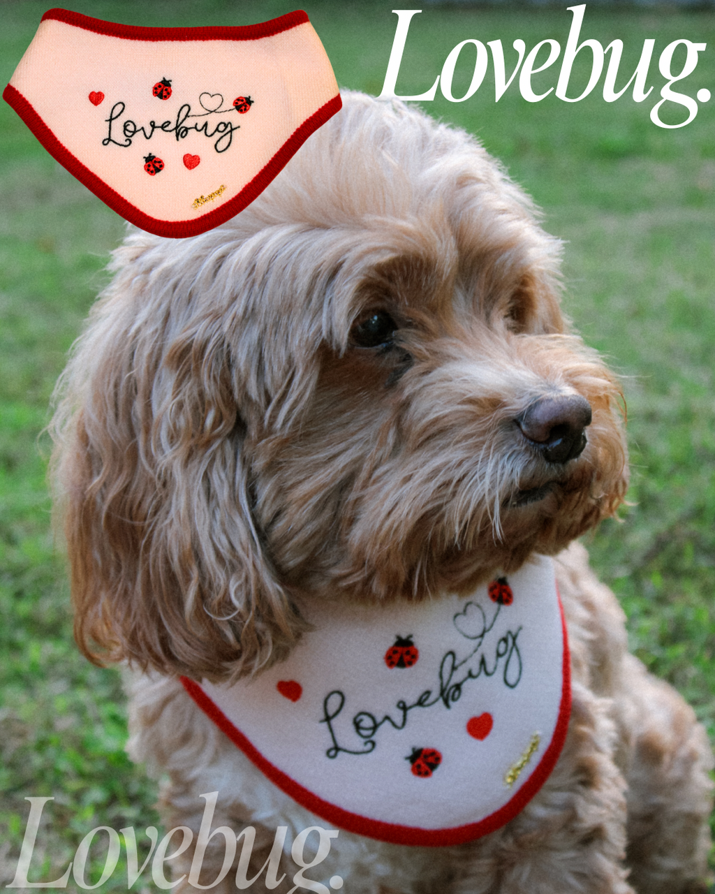 LOVEBUG BANDANA